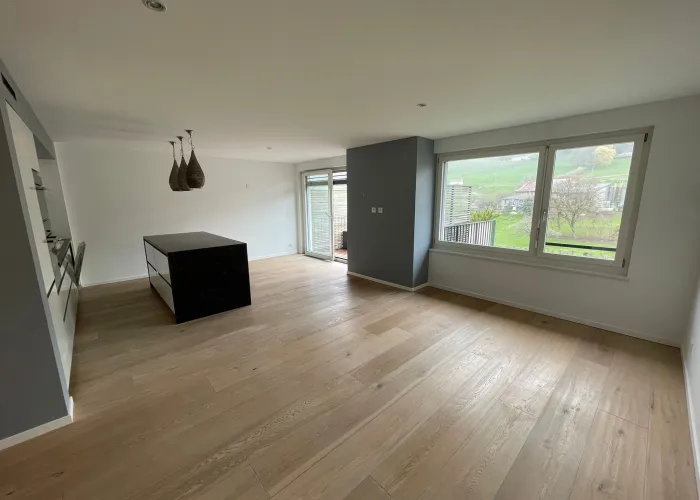 Magnifique 3.5 pièces avec terrasse